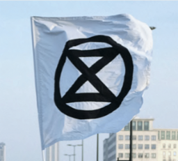 flag.png